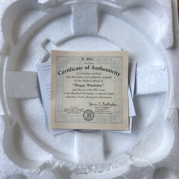 Disney Winnie the Pooh “Pooh’s Hunnypot Adventures” 3d Plate Set - Bradford Ex. - Picture 7 of 14